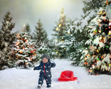 Christmas Tree Farm Backdrop