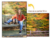 Autumn Trees Paths Digital Backdrops