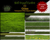 Grass Yard Clipart Overlays