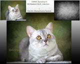 Digital Backgrounds and Textures Monochrome