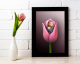 Pink Tulip Flower Newborn Digital Backdrop