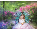 6 Fairy Wing PNG Transparent Overlays