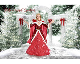 Christmas Winter Digital Photography Backdrop