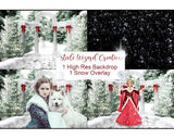 Christmas Winter Digital Photography Backdrop