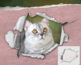 Torn Paper Clipart, Ripped Edges