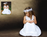 Brown Painted Digital Backdrop