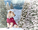 Pine Trees Overlays, Evergreen Trees Clipart