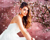 Sakura Cherry Blossom Background