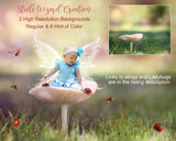 2 High resolution Mushroom in Grass Digital backdrop by Steele Wizard Creation