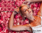 Rose Petals Digital Backdrop