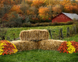 Autumn Farm Digital Backdrop