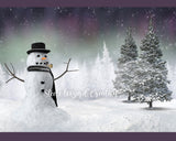 Northern Lights Snowman Backdrop