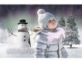 Northern Lights Snowman Backdrop