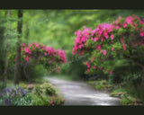 Trail Path Floral Spring Background #2