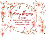 Watercolor Cherry Blossom Clipart Hand Painted