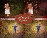 Autumn Fall Leaves Photoshop Overlays