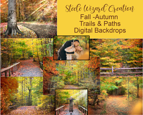 Autumn Trees Paths Digital Backdrops