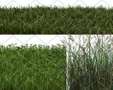 Grass Yard Clipart Overlays