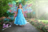 6 Fairy Wing PNG Transparent Overlays