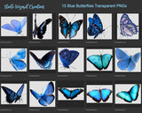 ButterFly Overlays & PNGs