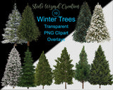 Pine Trees Overlays, Evergreen Trees Clipart