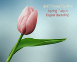 Tulip Digital Backdrop