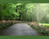 Spring Summer Flower Path 1 Digital Backdrop