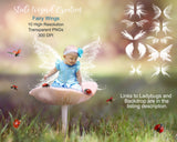 Fairy Wings Clipart PNG Transparent Overlays