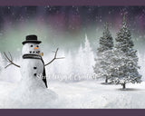 Northern Lights Snowman Backdrop