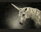 Unicorn Dreamy Digital Backdrop 1