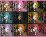 Unicorn Forest Fantasy Digital Backdrops - Set of 9
