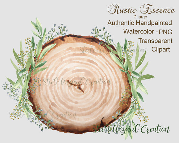 Watercolor Wood Slice & Botanical Clipart
